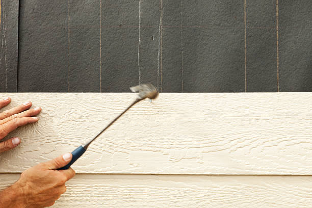 Best Fiber Cement Siding Installation  in Jefferson, LA
